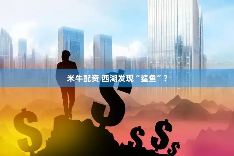 米牛配资 西湖发现“鲨鱼”？