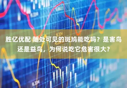 胜亿优配 随处可见的斑鸠能吃吗？是害鸟还是益鸟，为何说吃它危害很大？